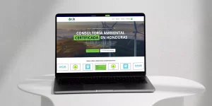 Consultores VIB – New Website!